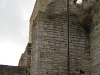 IMG_0860.jpg