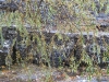 IMG_0975.jpg