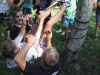 DSCF3718.JPG